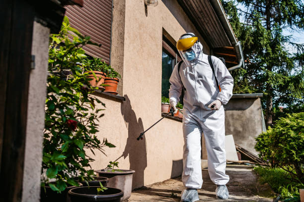 Best Affordable Pest Control Services  in Hickman, KY
