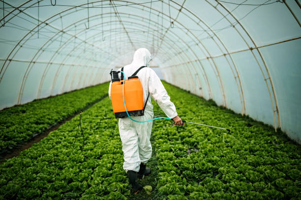 Best Affordable Pest Control Services  in Hickman, KY