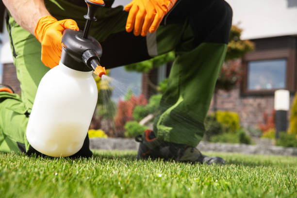 Best Bed Bug Extermination  in Hickman, KY