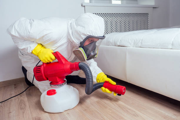 Best Mosquito Control Services  in Hickman, KY