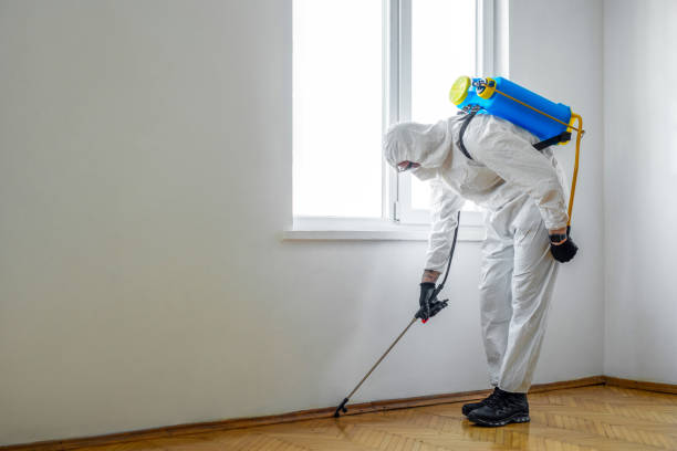 Best Commercial Pest Control Services  in Hickman, KY