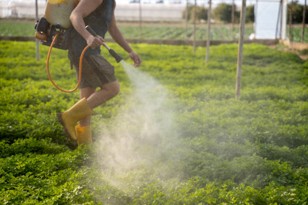 Best Residential Pest Control  in Hickman, KY