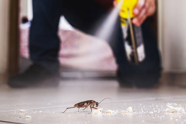 Best Best Pest Control Companies  in Hickman, KY