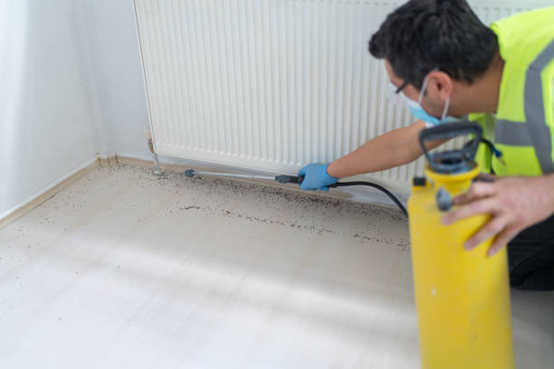 Professional Pest Control in Hickman, KY