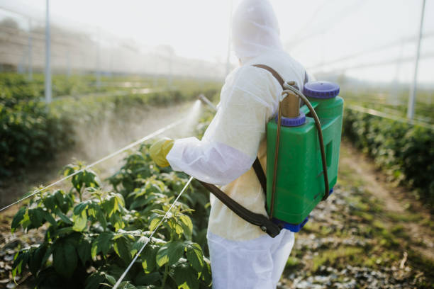 Best Wasp Removal Services  in Hickman, KY